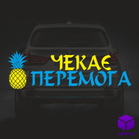 Наліпка на автомобіль А НА НАС