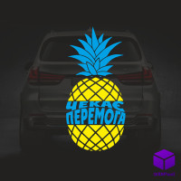 Наліпка на автомобіль А НА НАС V2