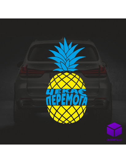 Наліпка на автомобіль А НА НАС V2